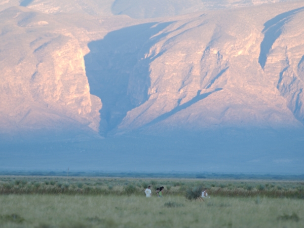 Cuatro Ciénegas Basin